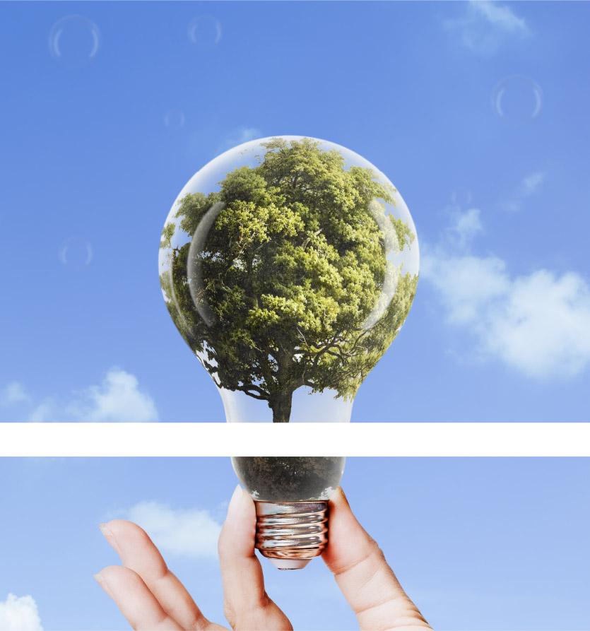 How can you take out your Environmental Liability Insurance? | PERM